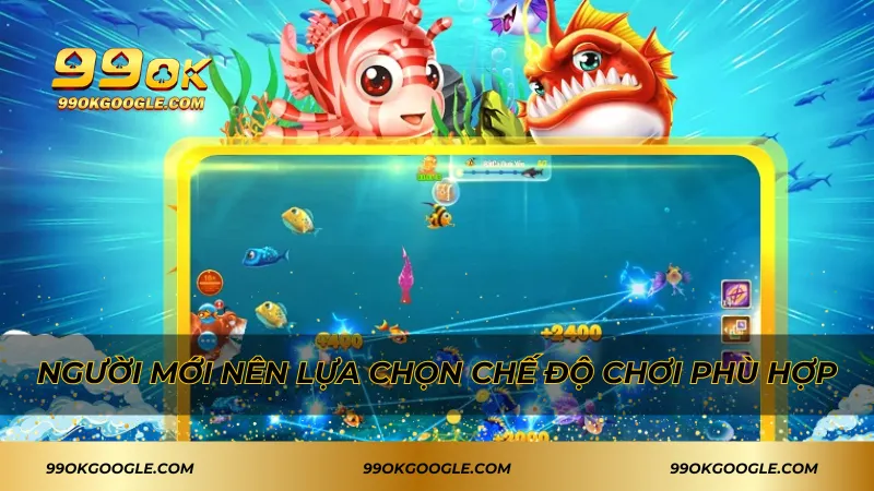 Máy Bắn Cá JDB – Săn Thưởng Lớn Cực Dễ Dàng 3 Người mới nên lựa chọn chế độ chơi phù hợp